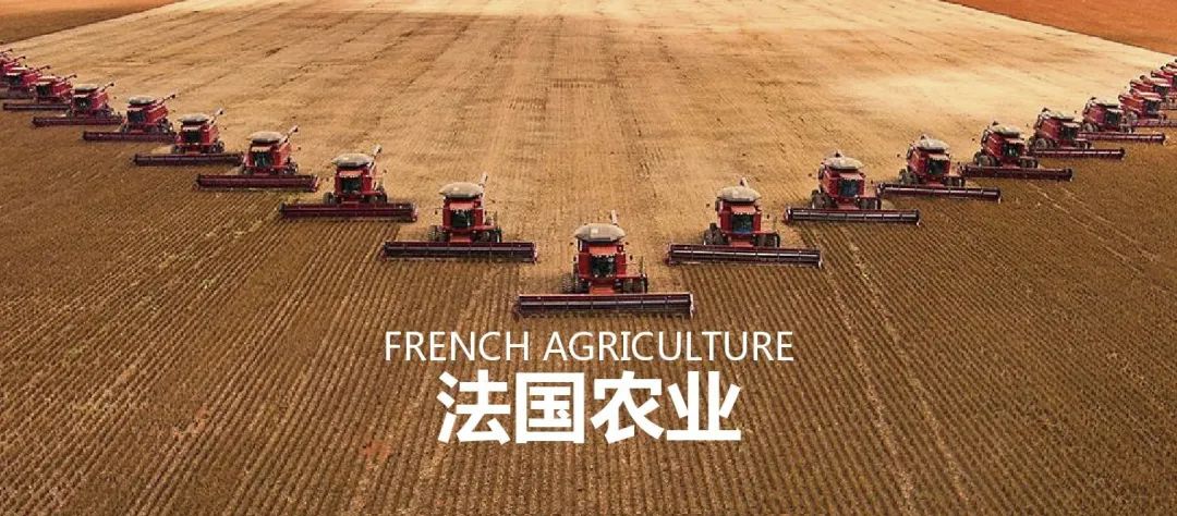 法国农业：欧盟农业大国，靠这6大战略制胜市场